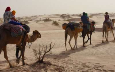 Camel Trek in the Sahara Desert
